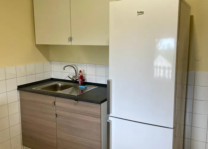 公寓 Julia Apartmanhaz 巴拉顿菲赖德